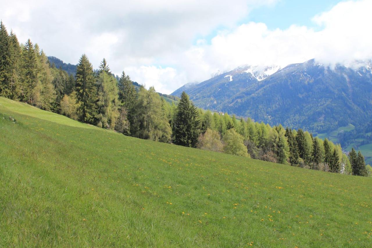 La Mansarda Di Casa Vacanze La Vite Bordogna Exteriér fotografie