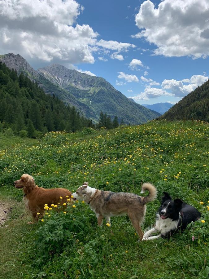 La Mansarda Di Casa Vacanze La Vite Bordogna Exteriér fotografie